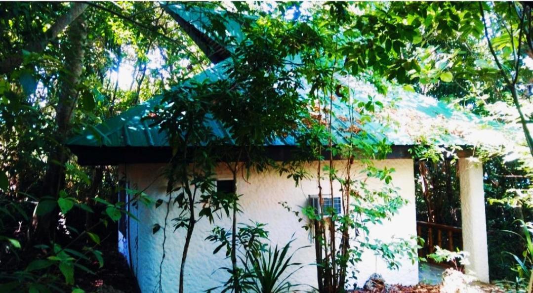 Kim'S Garden Villa Anda  Exterior photo