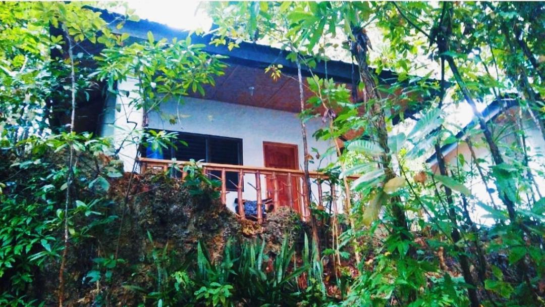 Kim'S Garden Villa Anda  Exterior photo